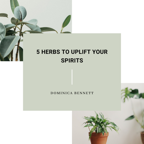 5 Herbs to uplift your spirits EBOOK