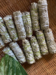 Wholesale Sage Smudgestick